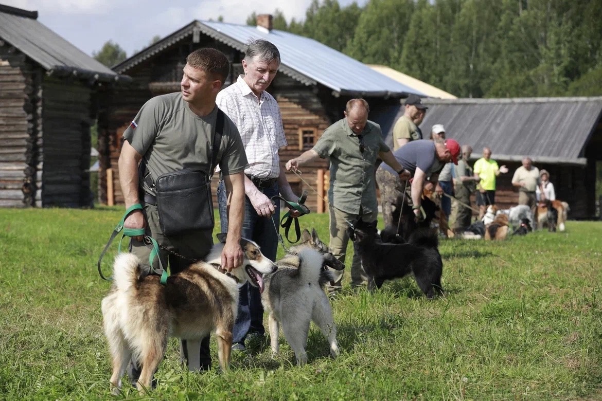 Фото пресс-службы Губернатора Вологодской области Олега Кувшинникова