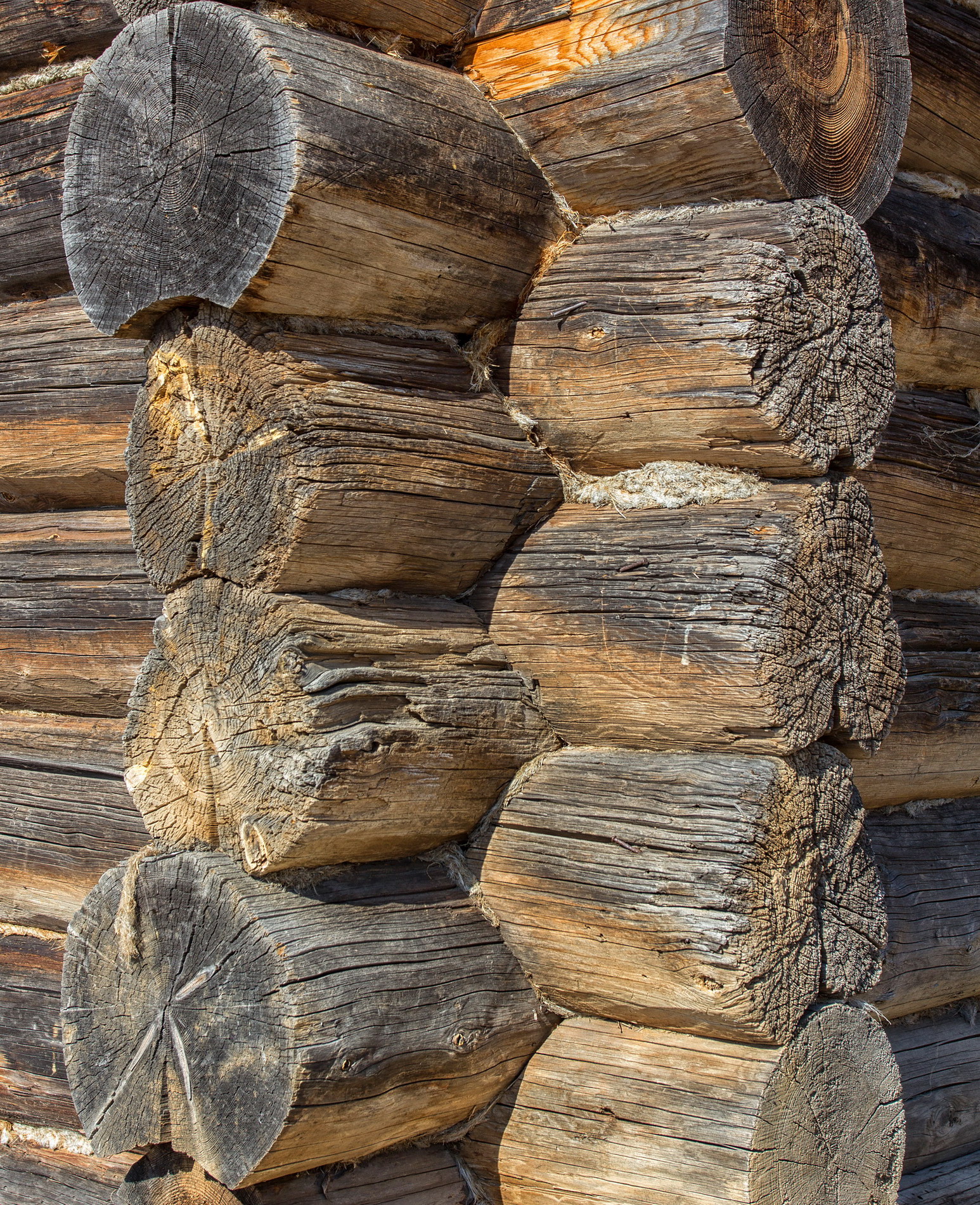 Пинега деревянное зодчество. Новоселье в древней руси. Ганс оэри русские крестьяне. На руси каждую новую срубленную. На руси каждую новую срубленную.