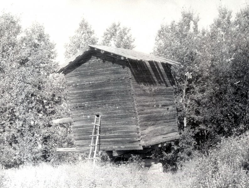 Фото мельницы в деревне Семеновская. 1989 год