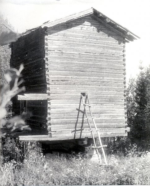 Фото мельницы в деревне Семеновская. 1989 год