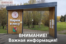 Афиша