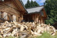 «Какие дрова, такой и огонь»